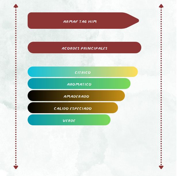 PERFUME ARMAF TAG HIM EDP 3,4 OZ HOMBRE