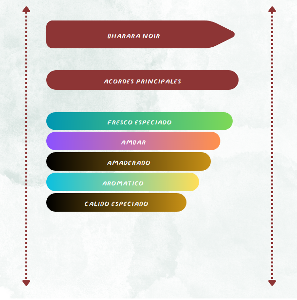 PERFUME BHARARA NOIR EDP 3,4 OZ HOMBRE