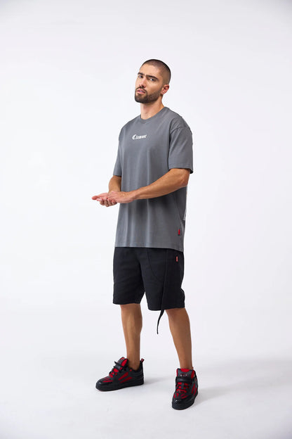 CAMISETA CLEMONT PALADINO GRIS