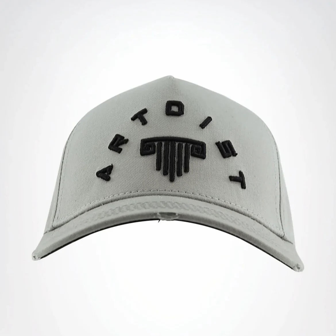 GORRA ARTDIST CANVA GREY