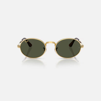 GAFAS RAY BAN RB3931-001/3154