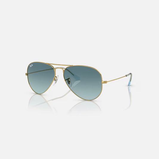 GAFAS RAY BAN RB3025-001/3M58