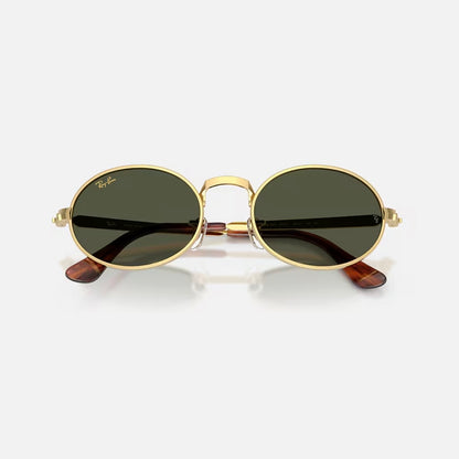 GAFAS RAY BAN RB3931-001/3154