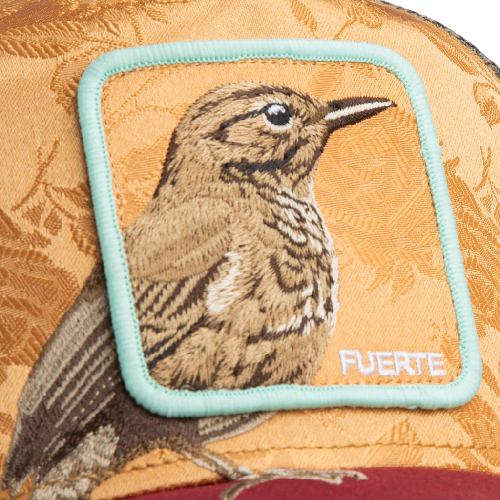 GORRA GOORIN BROS 101-2709-AMBER COSTA RICA THRUSH