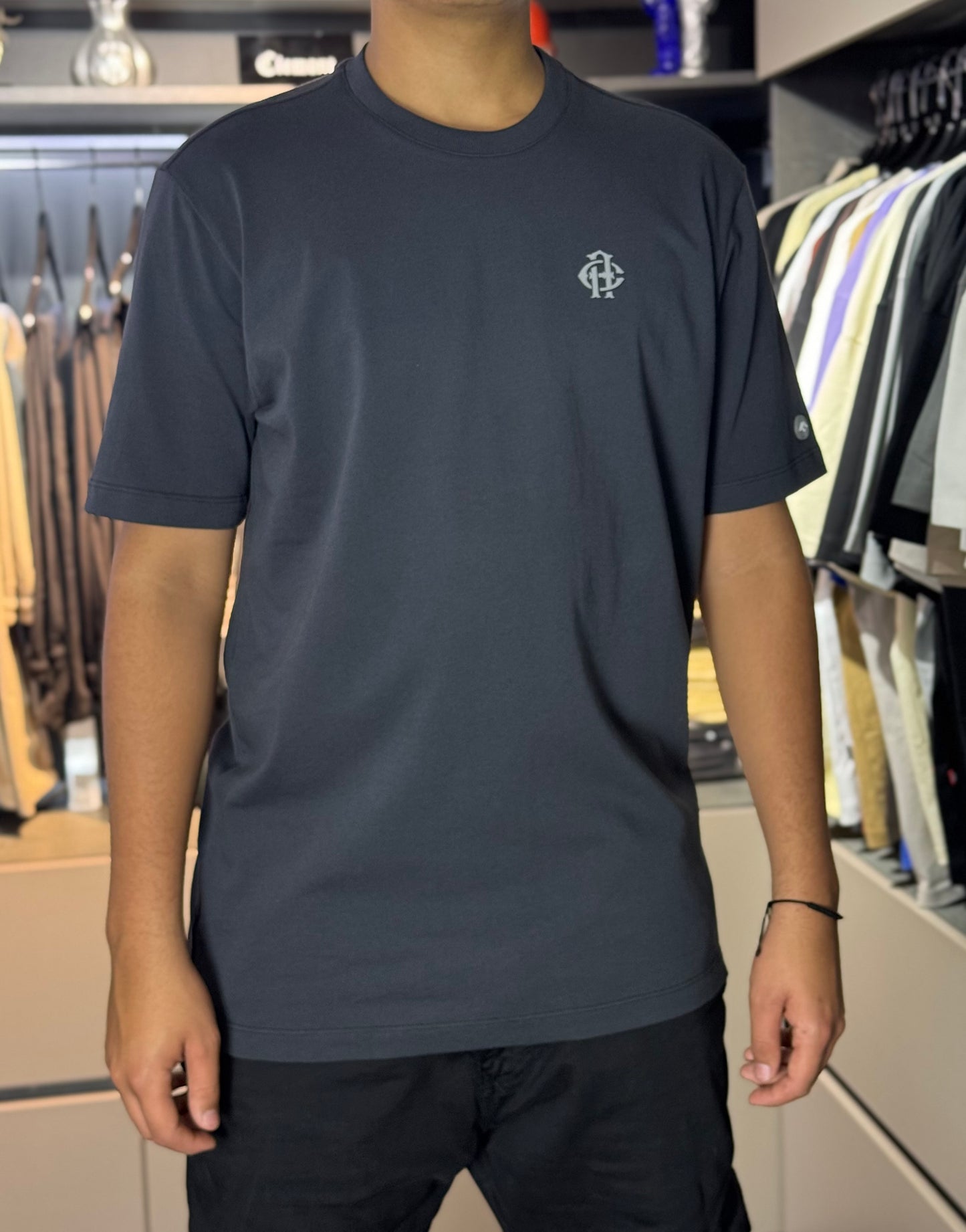 CAMISETA CAPI HORSESHOE GRIS