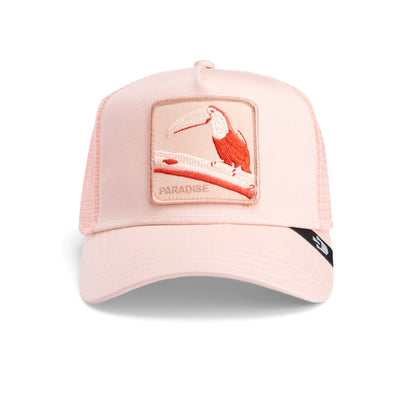 GORRA GOORIN BROS 101-1884-COR TOUCAN MIRAGE