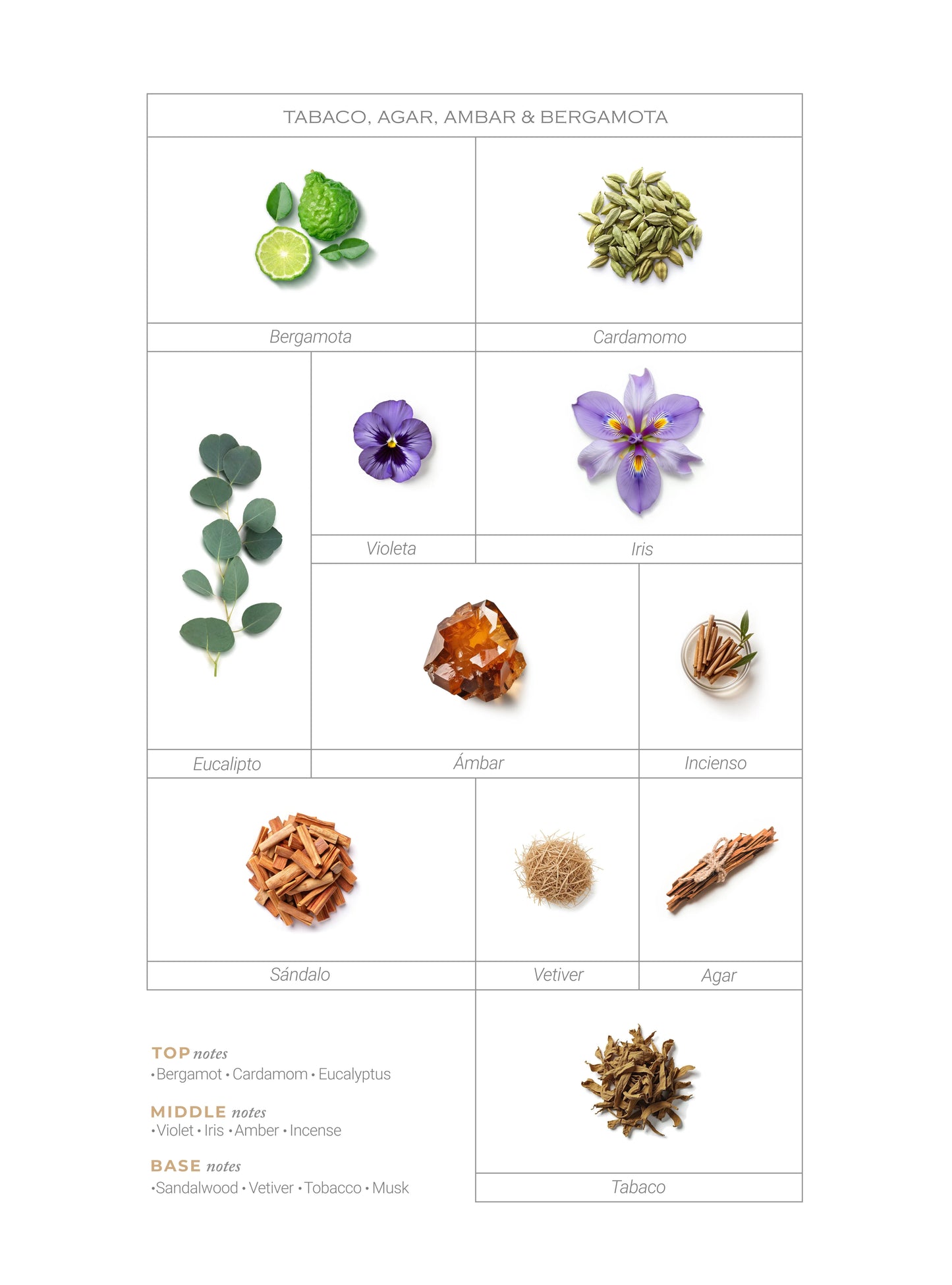 PERFUME ILMIN IL EGO EXTRACTO DE PERFUME 1,7 OZ UNISEX